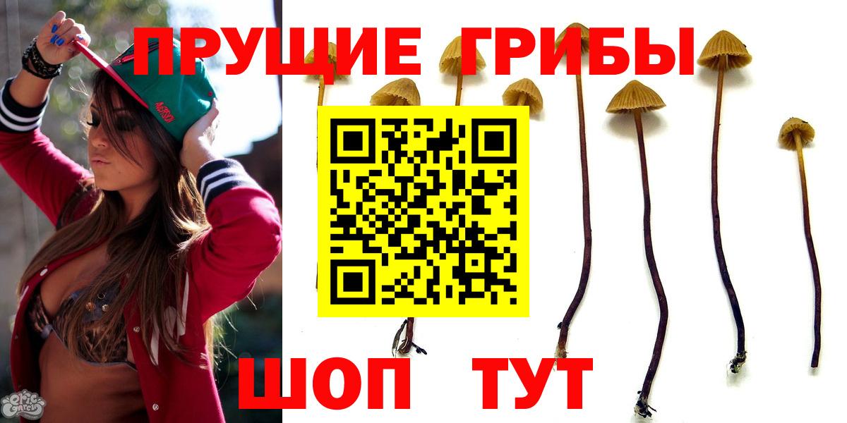 Галлюциногенные грибы ЛСД Рузаевка